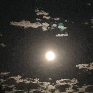 Meet your Posher, Julian